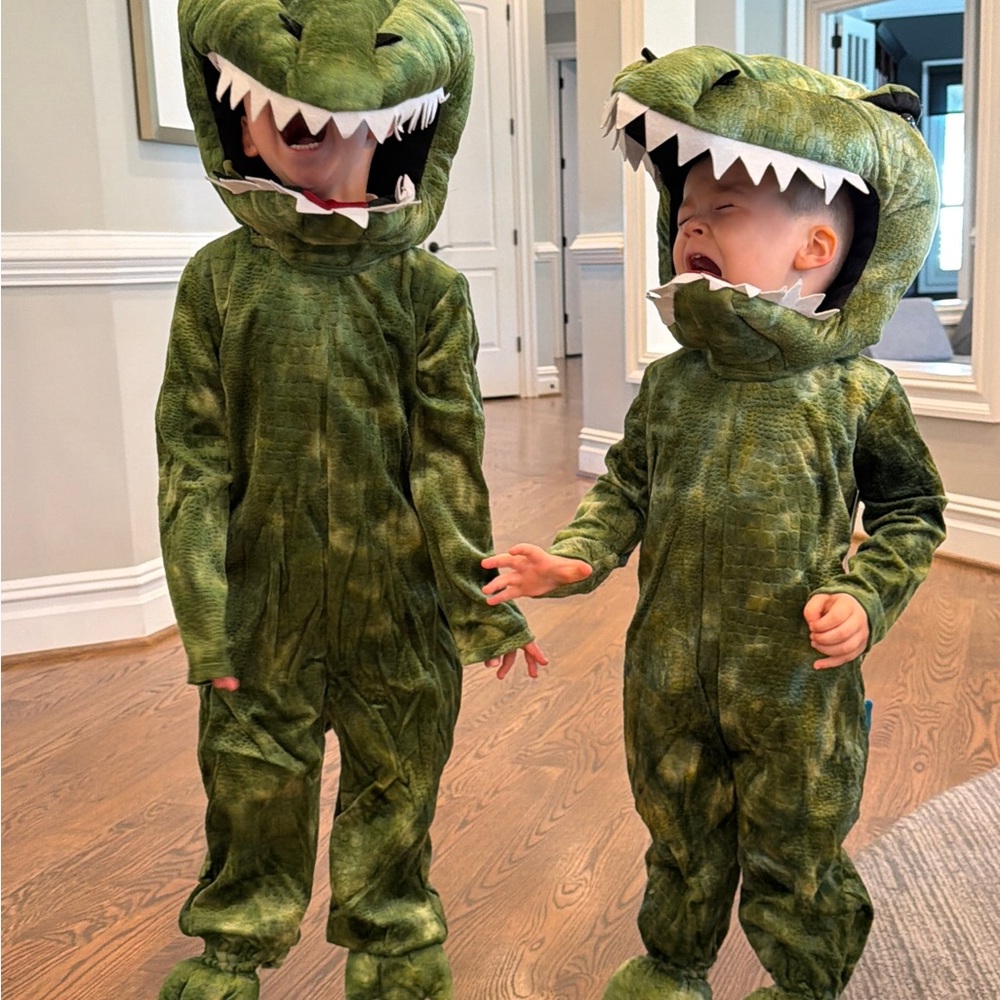 Pottery Barn Kids Light Up Green T Rex Dinosaur Costume 4-6T